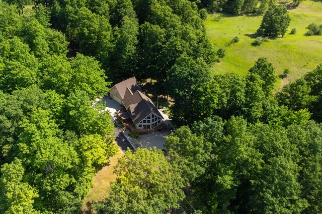 10653 Milarch Rd, Bear Lake, MI 49614 - photo 58