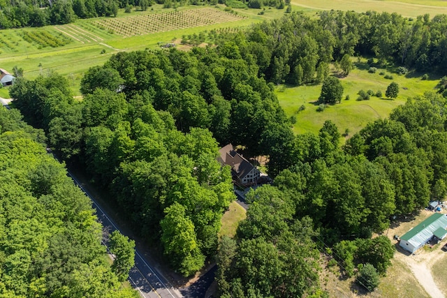 10653 Milarch Rd, Bear Lake, MI 49614 - photo 59