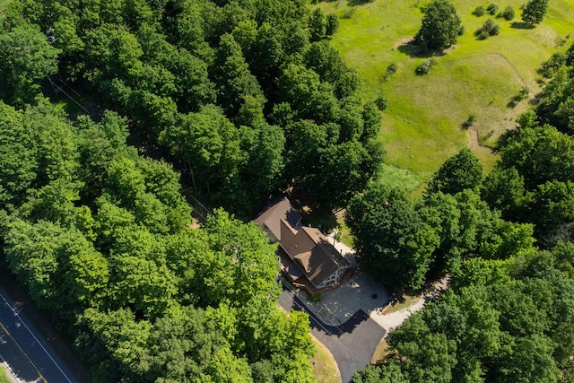 10653 Milarch Rd, Bear Lake, MI 49614 - photo 61