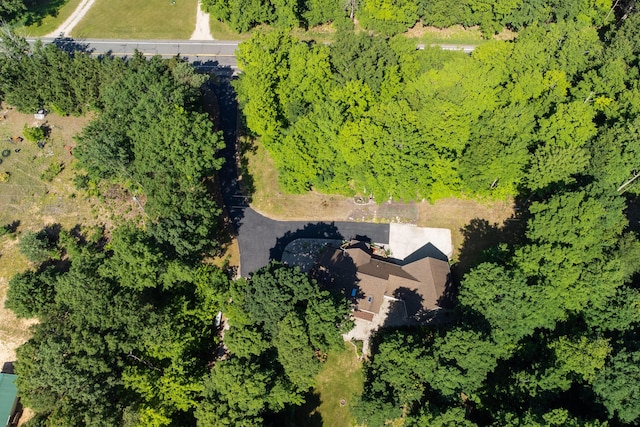 10653 Milarch Rd, Bear Lake, MI 49614 - photo 62