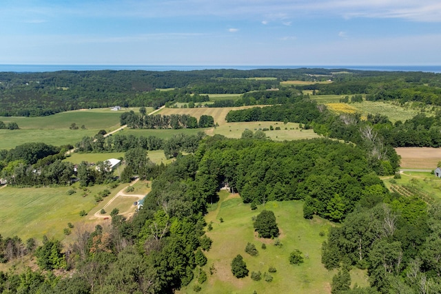10653 Milarch Rd, Bear Lake, MI 49614 - photo 63