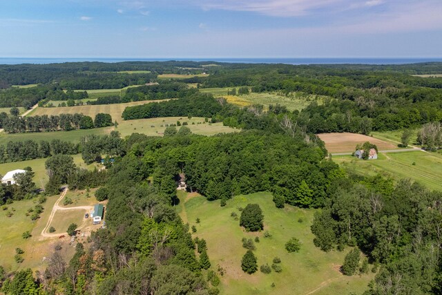 10653 Milarch Rd, Bear Lake, MI 49614 - photo 65
