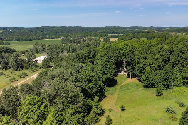 10653 Milarch Rd, Bear Lake, MI 49614 - photo 66