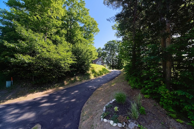 10653 Milarch Rd, Bear Lake, MI 49614 - photo 55