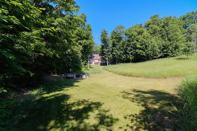 10653 Milarch Rd, Bear Lake, MI 49614 - photo 69