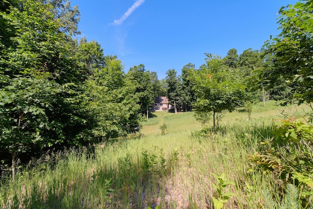 10653 Milarch Rd, Bear Lake, MI 49614 - photo 70
