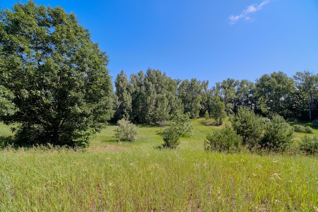 10653 Milarch Rd, Bear Lake, MI 49614 - photo 71