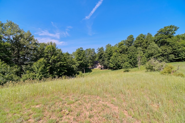 10653 Milarch Rd, Bear Lake, MI 49614 - photo 72