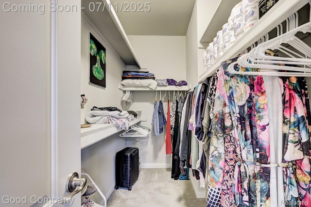 4361 Bennett Park Cir, Troy, MI 48085 - spacious closet with carpet