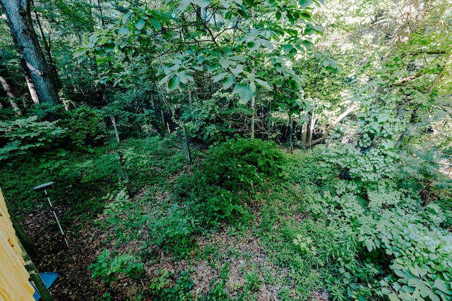 18400 N Fruitport Rd, Spring Lake, MI 49456 - view of nature