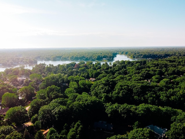 18400 N Fruitport Rd, Spring Lake, MI 49456 - drone / aerial view of a forest and a large body of water