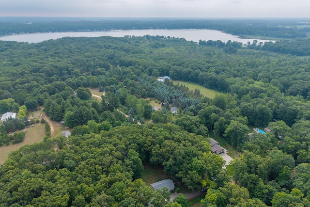 23974 Hooker Dr, Sand Lake, MI 49343 - drone / aerial view of a nearby body of water