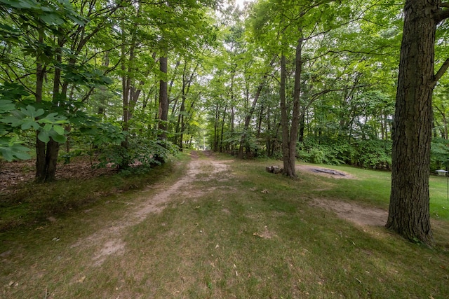 23974 Hooker Dr, Sand Lake, MI 49343 - view of grassy yard
