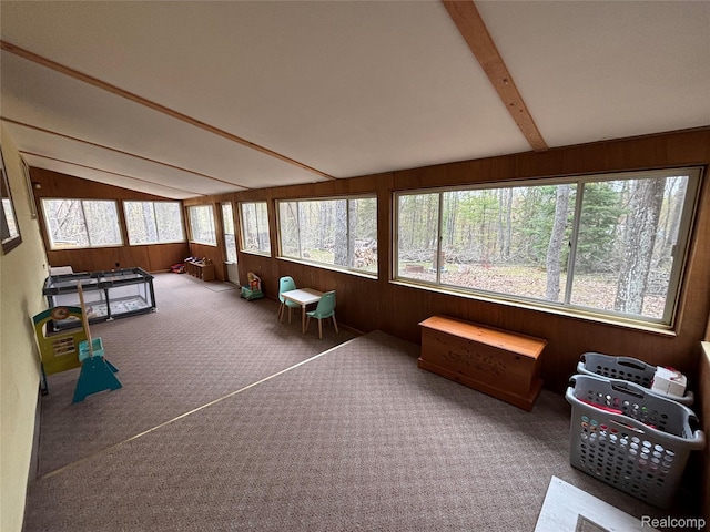 3356 Havenwood Dr, Lewiston, MI 49756 - photo 13