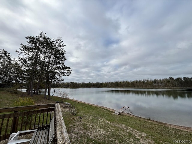 3356 Havenwood Dr, Lewiston, MI 49756 - photo 47