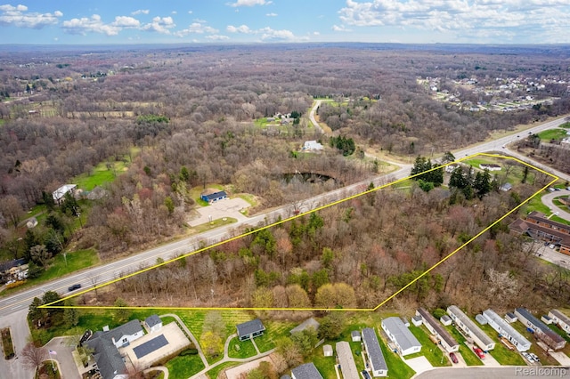 10685 Dixie Hwy, Davisburg, MI 48350 - aerial view of property's location with property boundaries highlighted