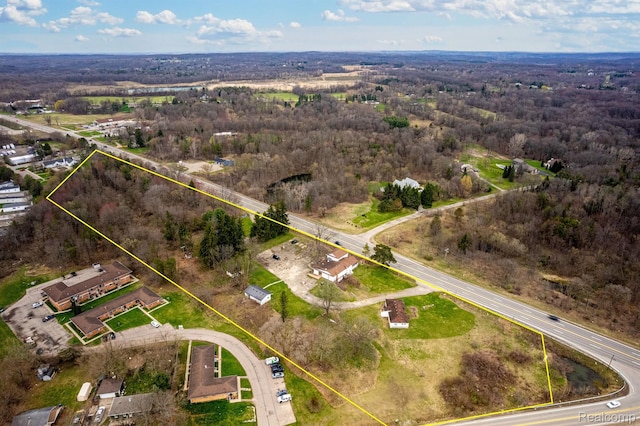 10685 Dixie Hwy, Davisburg, MI 48350 - aerial view of property's location featuring property boundaries highlighted