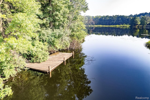 8212 Pine Lake Dr, Davisburg, MI 48350 - photo 40