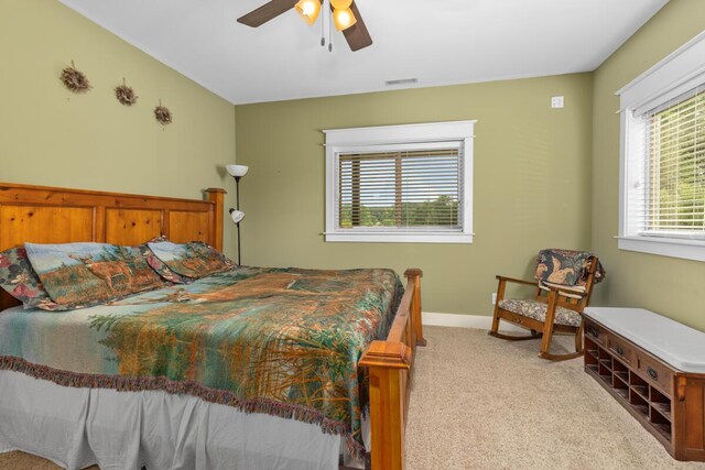 9752 Jackson Rd, Clarksville, MI 48815 - carpeted bedroom with multiple windows and ceiling fan