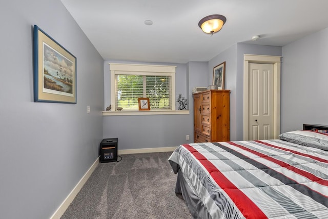 9752 Jackson Rd, Clarksville, MI 48815 - carpeted bedroom featuring baseboards and a closet