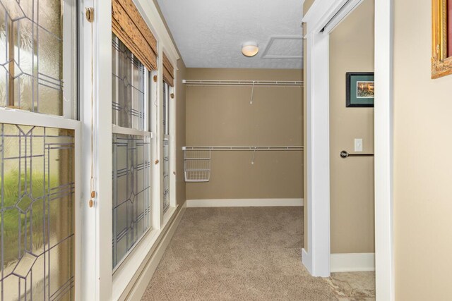 9752 Jackson Rd, Clarksville, MI 48815 - walk in closet with carpet floors