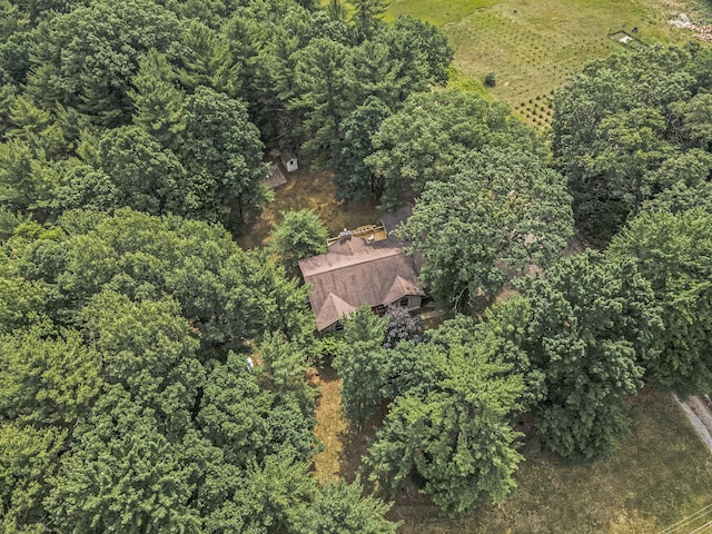 3985 Linke Rd, Manistee, MI 49660 - photo 4