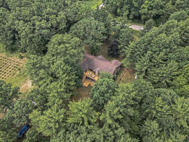 3985 Linke Rd, Manistee, MI 49660 - photo 47