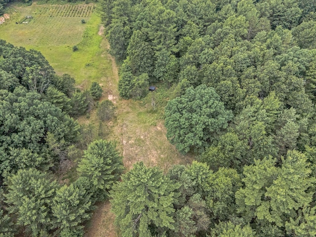 3985 Linke Rd, Manistee, MI 49660 - photo 48