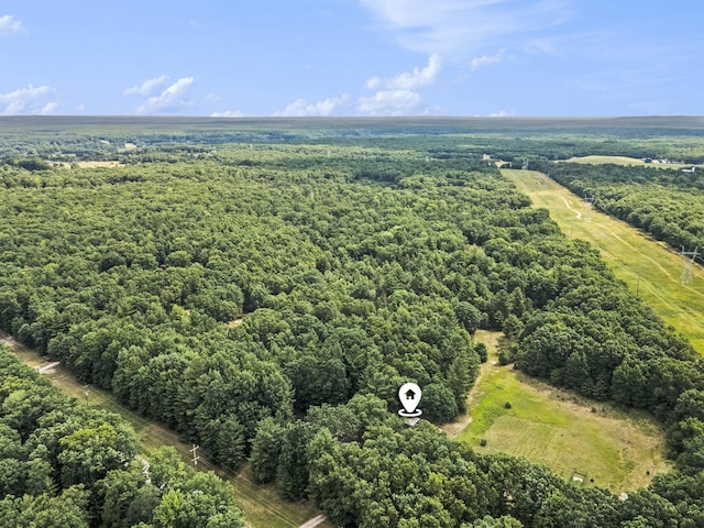 3985 Linke Rd, Manistee, MI 49660 - photo 49