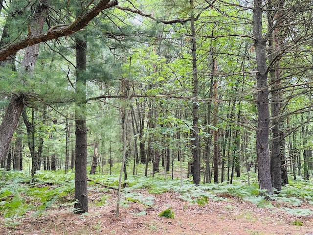 3985 Linke Rd, Manistee, MI 49660 - photo 45