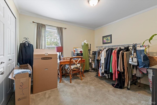 14236 Marshall Dr, Redford, MI 48239 - office with ornamental molding and carpet floors