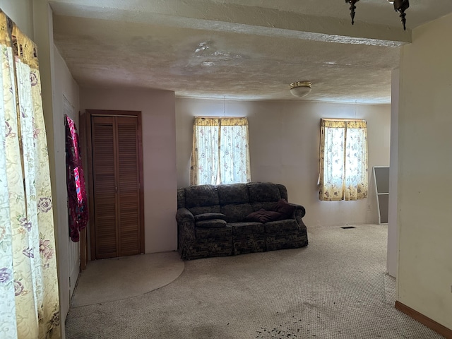 8942 28th Ave, Bitely, MI 49309 - sitting room featuring carpet flooring