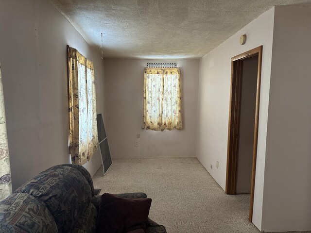 8942 28th Ave, Bitely, MI 49309 - living area featuring carpet flooring and a textured ceiling