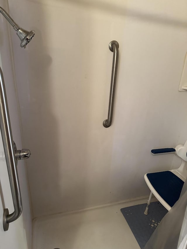 8942 28th Ave, Bitely, MI 49309 - bathroom with a shower