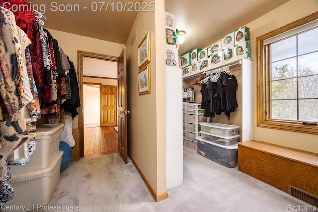 1180 Knob Creek Dr, Rochester, MI 48306 - spacious closet with carpet flooring