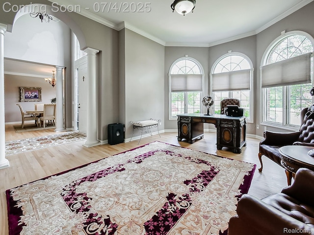 926 Majestic, Rochester Hills, MI 48306 - office space featuring decorative columns, healthy amount of natural light, arched walkways, ornamental molding, and light wood finished floors