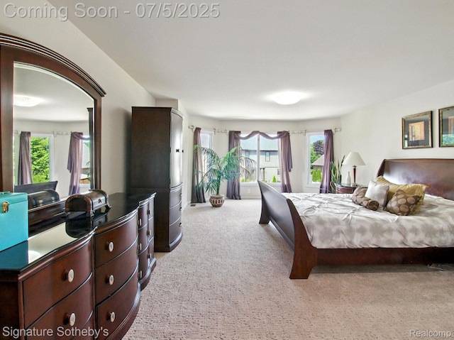 55397 Apple Ln, Shelby Twp, MI 48316 - photo 22