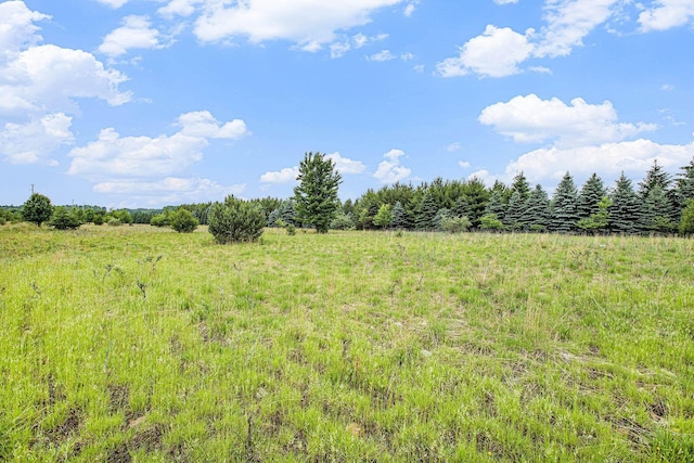 00 Norton Rd, Grawn, MI 49637