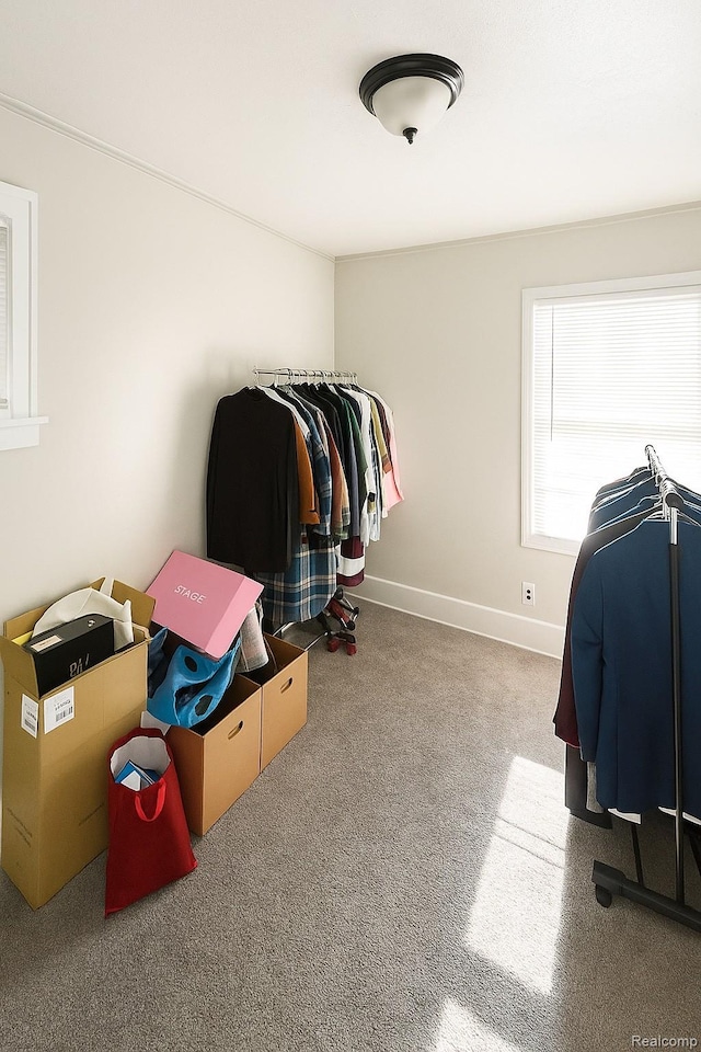 13516 Mansfield St, Detroit, MI 48227 - spacious closet with carpet flooring