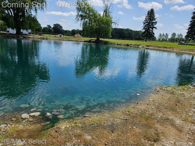 9215 Grand Blanc Rd, Gaines, MI 48436 - photo 49