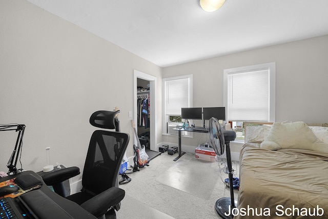 908 Chatham St NW, Grand Rapids, MI 49504 - bedroom featuring baseboards and a closet