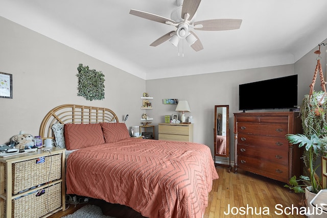 908 Chatham St NW, Grand Rapids, MI 49504 - bedroom with wood finished floors and a ceiling fan