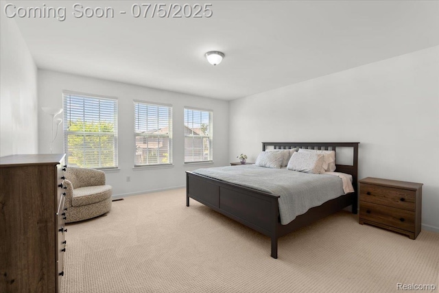 21422 Navarra Dr, South Lyon, MI 48178 - bedroom with carpet floors and baseboards
