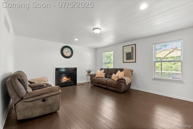 21422 Navarra Dr, South Lyon, MI 48178 - living room with wood-type flooring, a glass covered fireplace, and recessed lighting