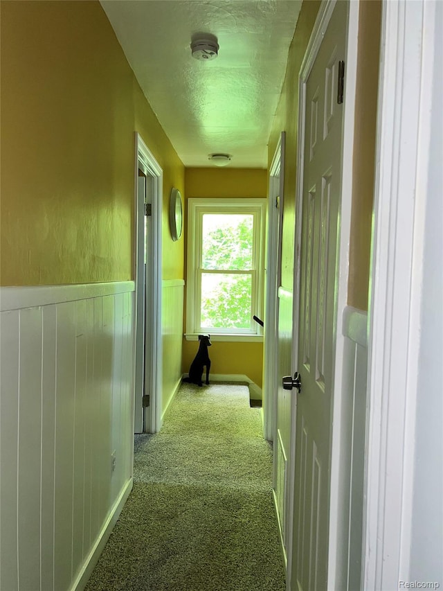 8956 Dixie Hwy, Ira, MI 48023 - hall featuring carpet flooring, a textured ceiling, and wainscoting