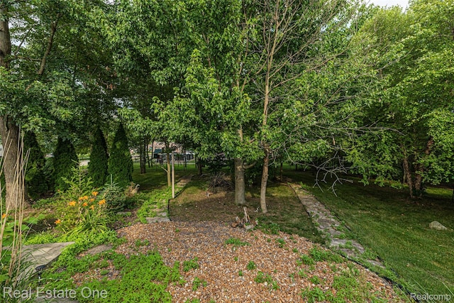 51992 Boland Rd, Chesterfield, MI 48047 - view of undeveloped land