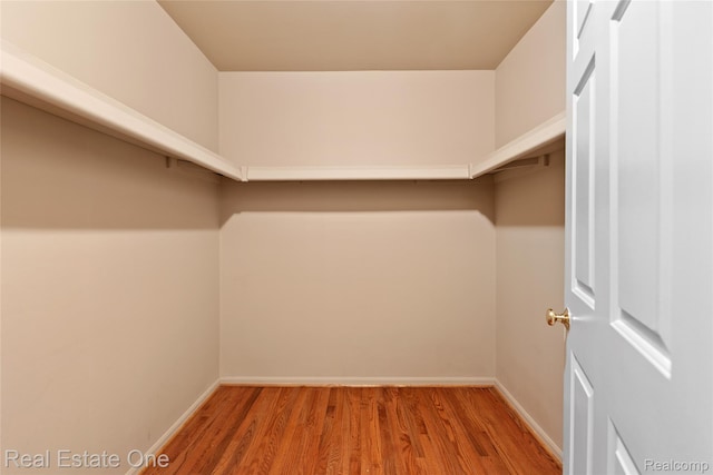 51992 Boland Rd, Chesterfield, MI 48047 - spacious closet with wood finished floors