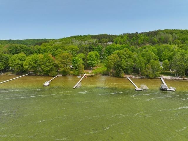 2620 Sandy Ridge Rd, Lake Leelanau, MI 49653 - photo 2