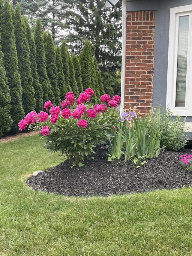 1015 Pointe Place Blvd, Rochester, MI 48307 - view of grassy yard