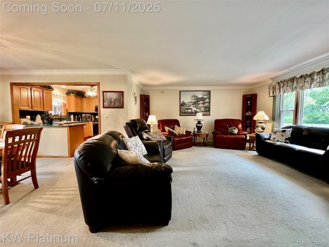 3775 Carrigan Rd, Fort Gratiot, MI 48059 - living room with ornamental molding and light carpet